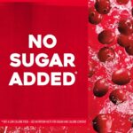 Ocean Spray 100% Juice, Cranberry Juice, 10 Ounce Bottle (Pack of 6) - Image 5